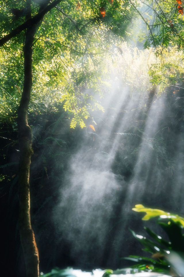騰沖瑪御谷悅椿 | 山水間·邂逅寧靜與美好