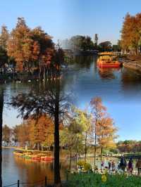 珠海限定！藏在海濱公園的冬日童話
