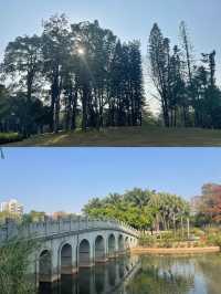 四海公園，邂逅冬日暖陽的浪漫