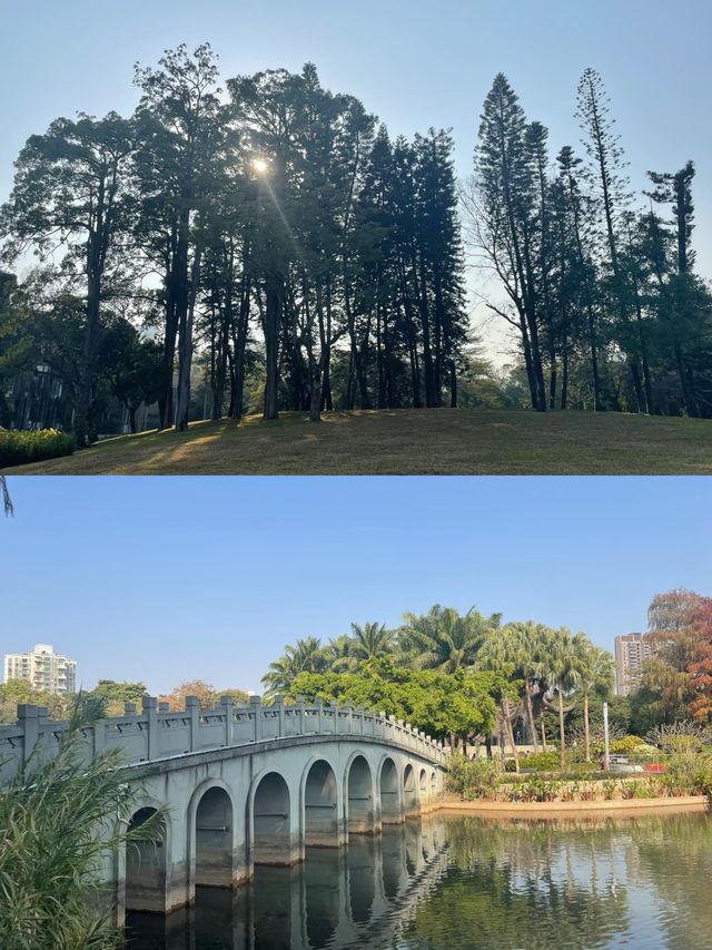 四海公園，邂逅冬日暖陽的浪漫