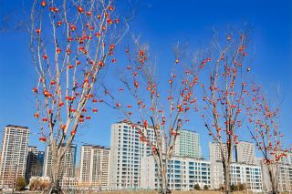 Still going to crowded places for the New Year? I say Baoding is the place to be!