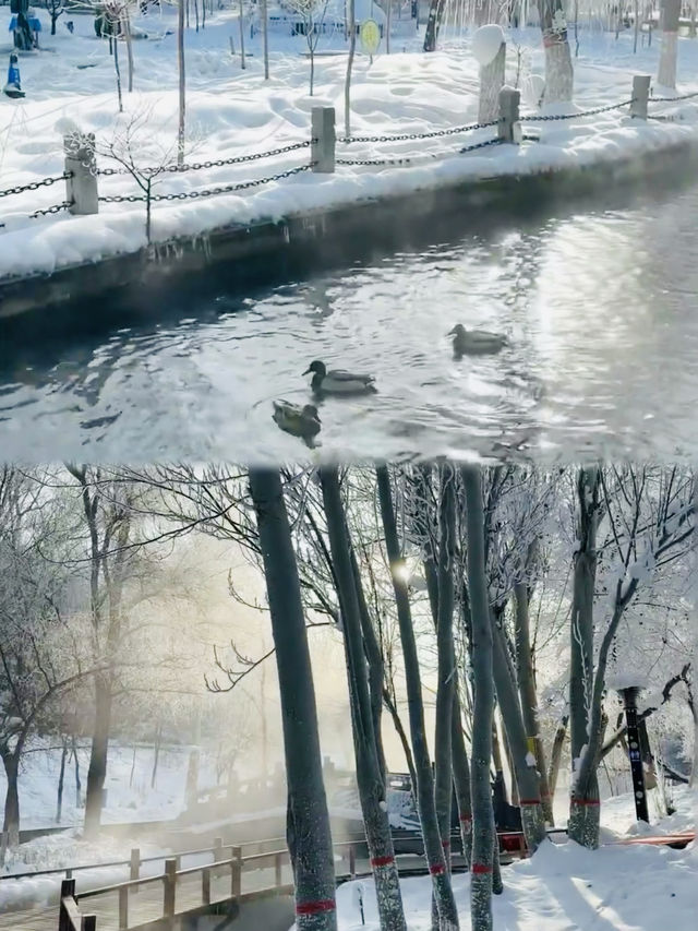 烏魯木齊的江南水鄉/ 水磨溝公園