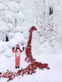 滑雪人的倔強—技術可以菜，照片必須帥