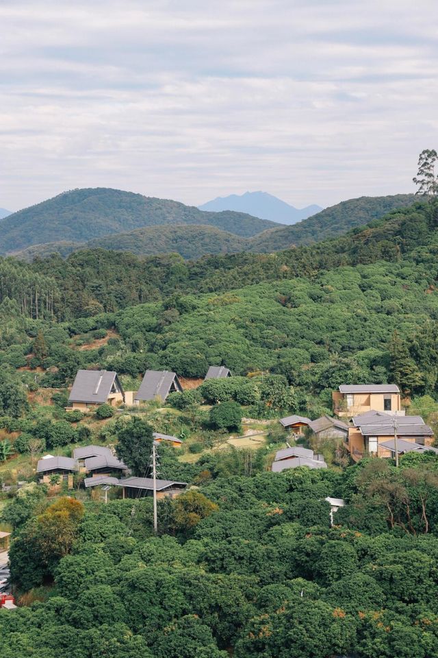 吸氧成功！我搵到咗廣東嘅「洗肺」天堂