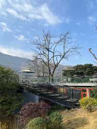 新年第一站，躲進青城山嘅溫泉烏托邦