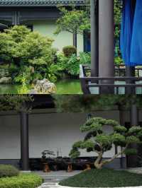一不小心住到成都園林酒店天花板