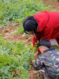 武漢周邊1.5小時住進森林別墅！親子&團建全拿下！