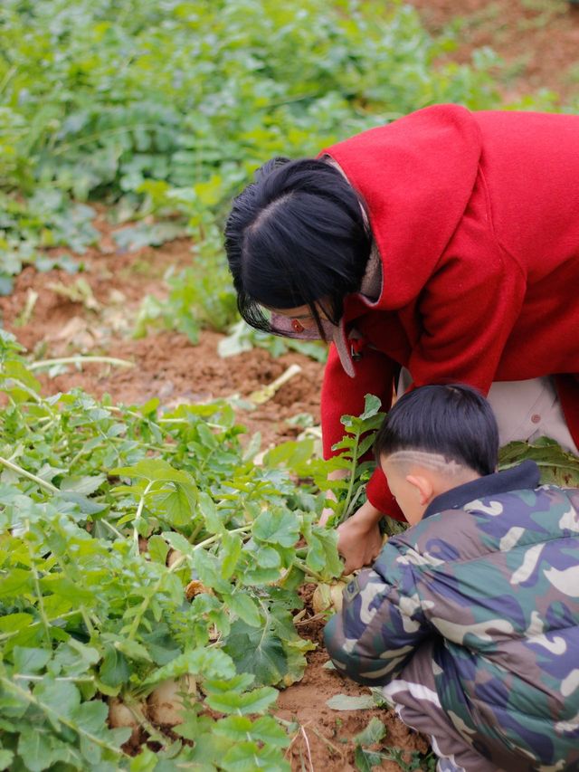 武漢周邊1.5小時住進森林別墅！親子&團建全拿下！