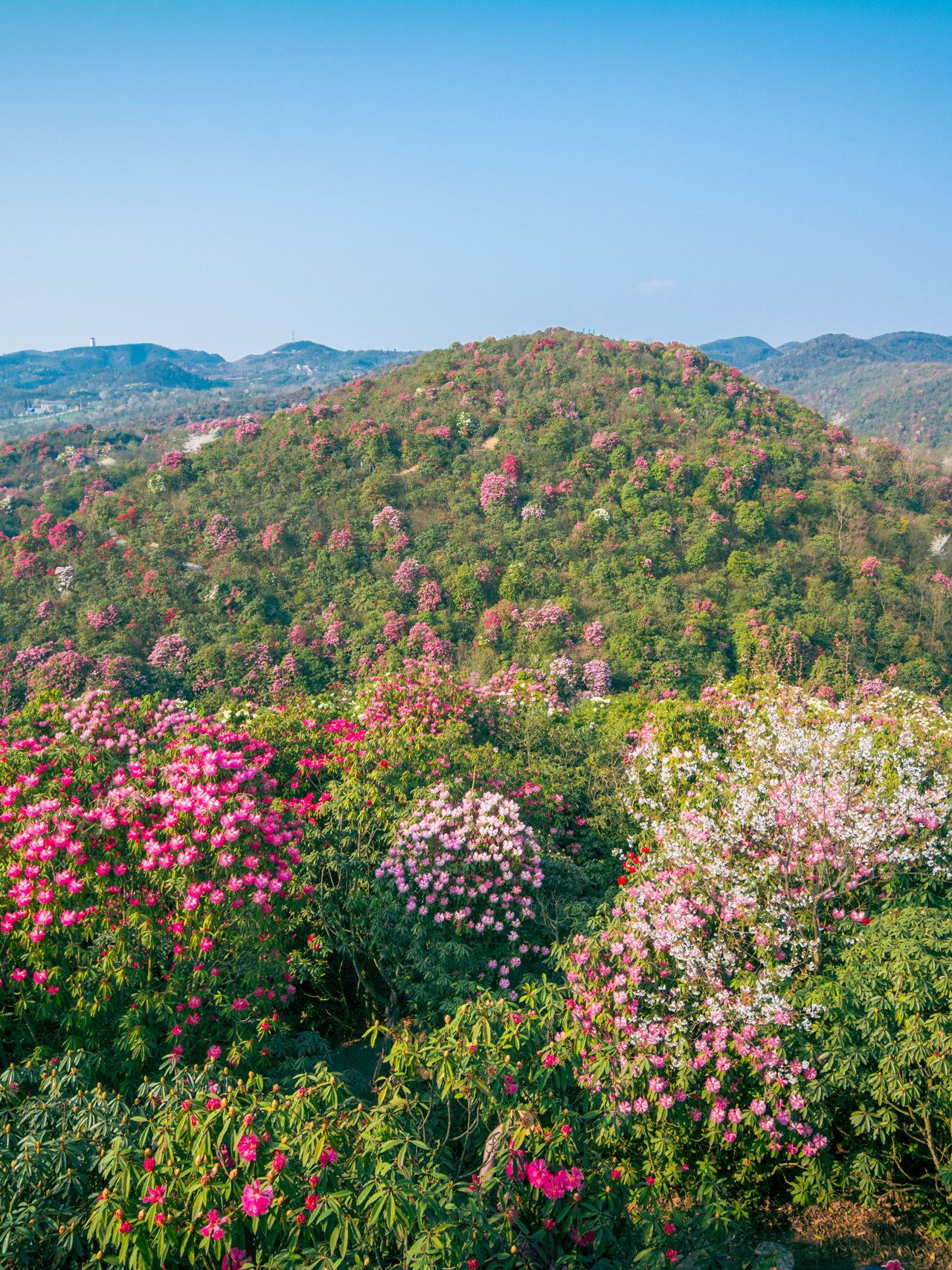 Guizhou-Yunnan 7-Day Family Trip Guide: These Places Are Great for Kids