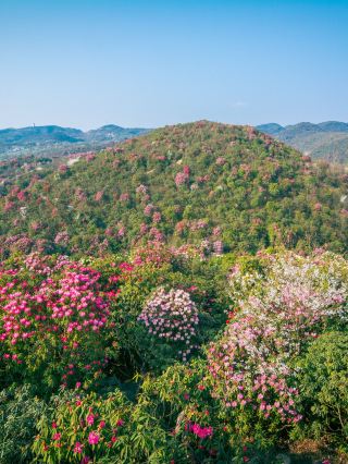 貴州-雲南7日遊親子攻略這些地方適合帶小孩去