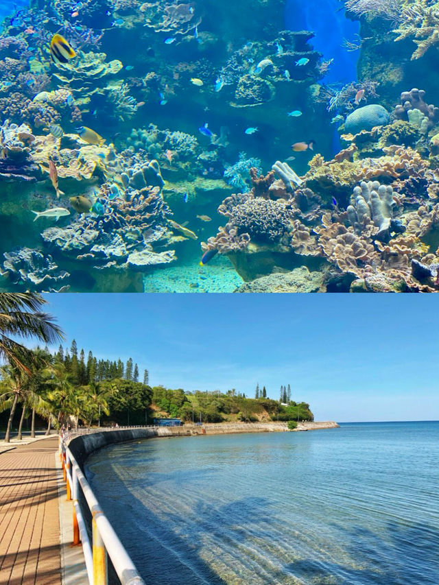 努美阿｜南太平洋的法式夢幻海島
