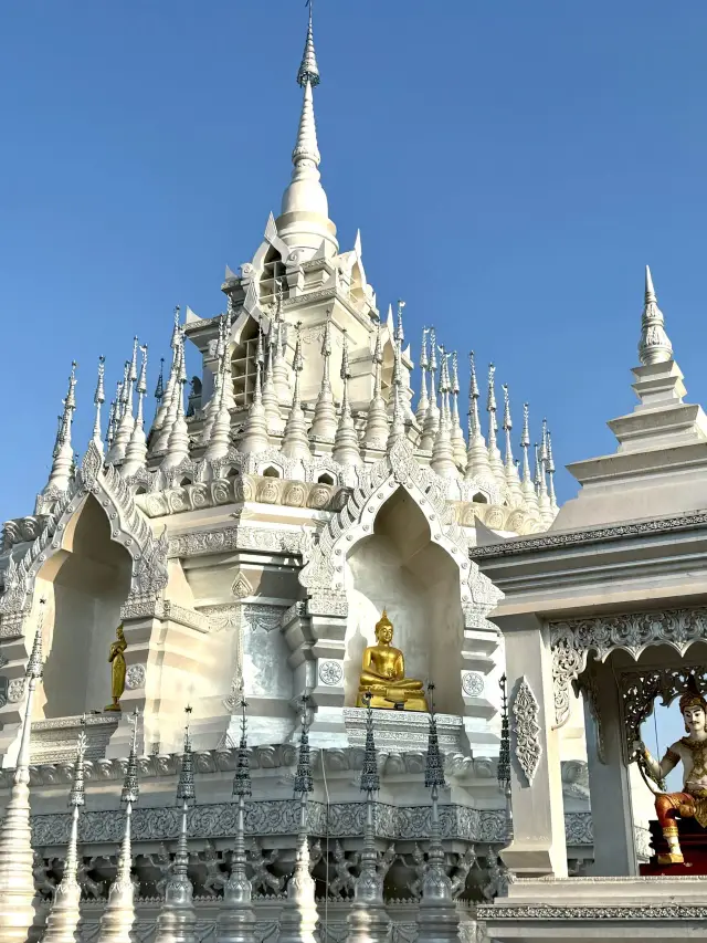 西双版納4日間ツアー 人気スポットを満喫