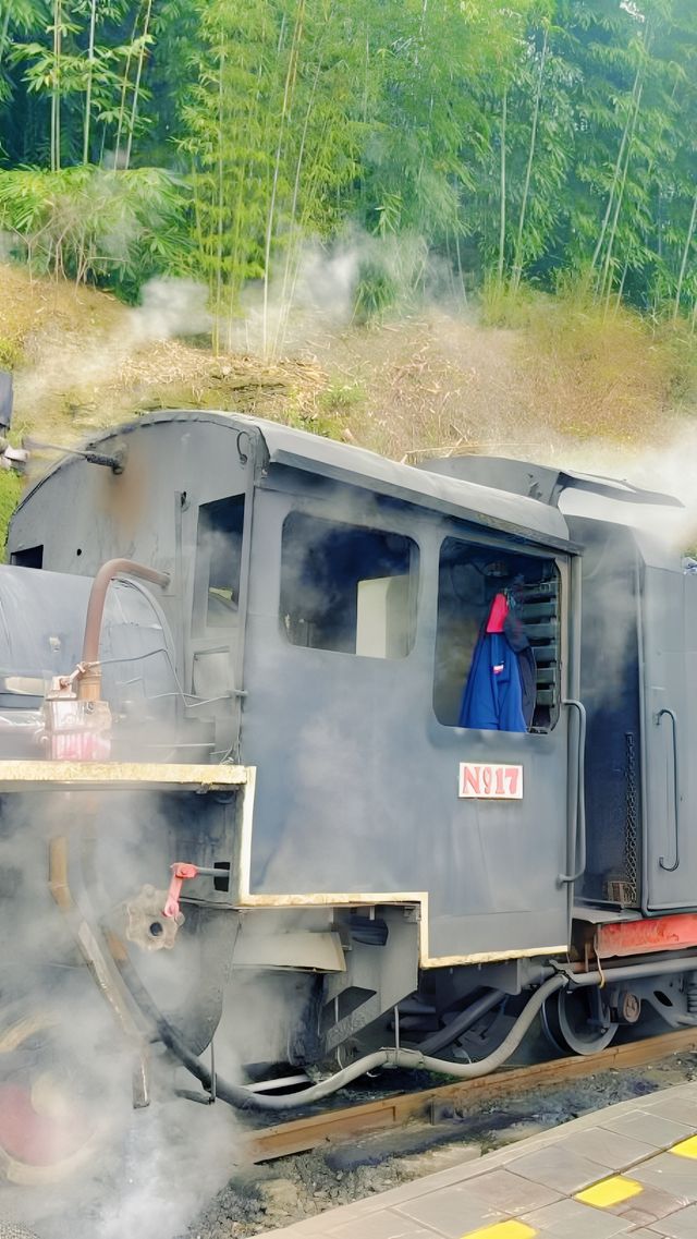 「乘坐嘉陽小火車，保證會令你驚喜！」