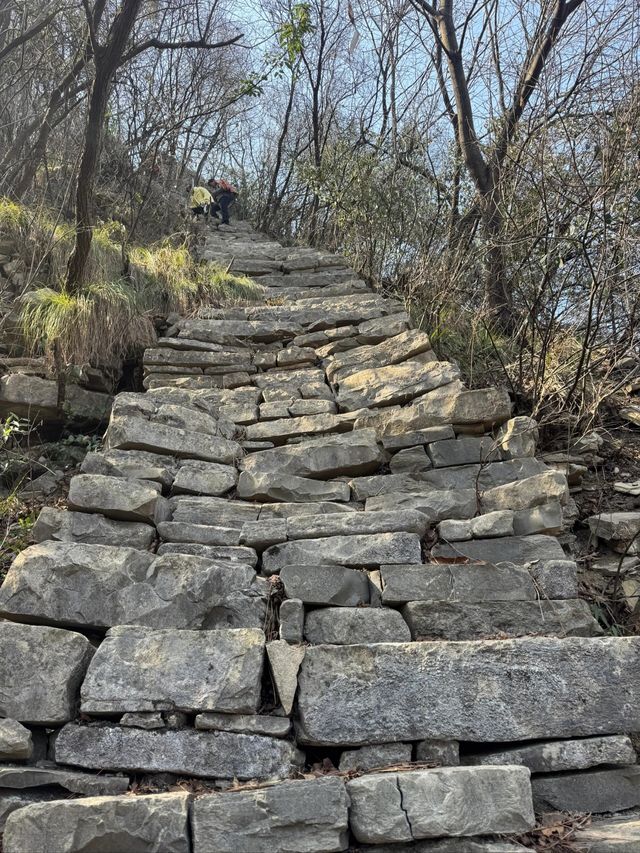 宜昌百里荒高山草原風景區