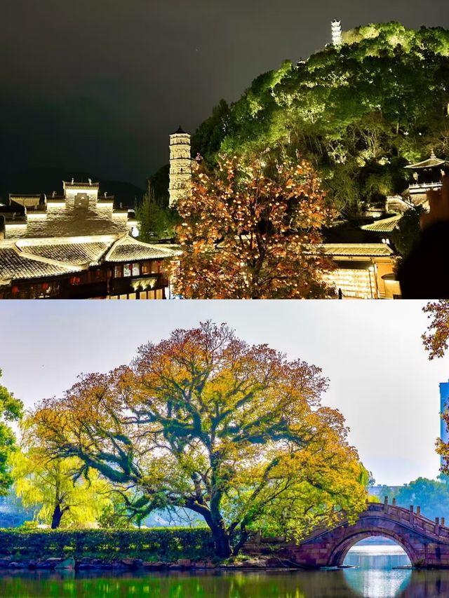 臨海點樣玩，呢條路線話你知。