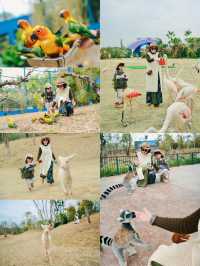 清遠長隆最全攻略（路線餵動物遊樂設施）