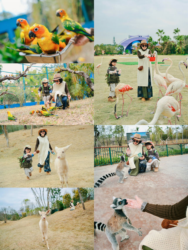 清遠長隆最全攻略（路線餵動物遊樂設施）