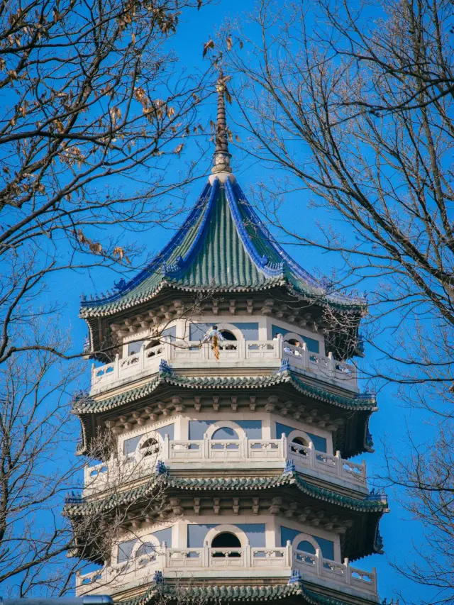 Shanghai-Suzhou-Hangzhou 6-Day Tour: A Super Detailed Guide to Exploring the Water Towns of Jiangnan