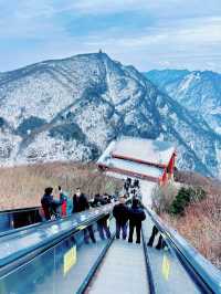 龍頭山，想帶身邊所有人再去一次