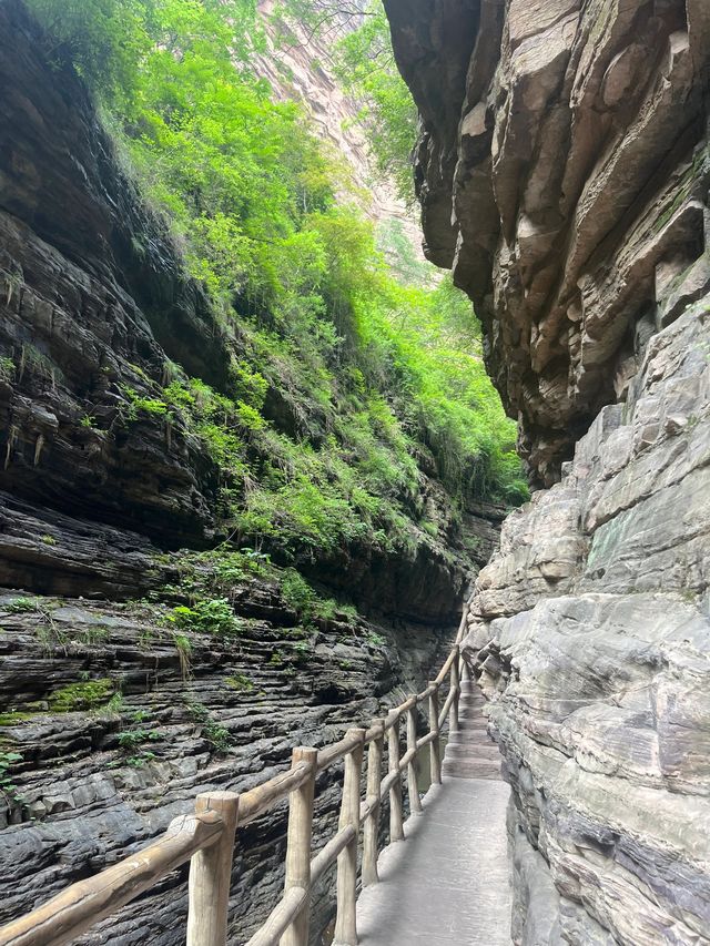洛陽等地老年遊超詳細攻略爸媽出遊必備
