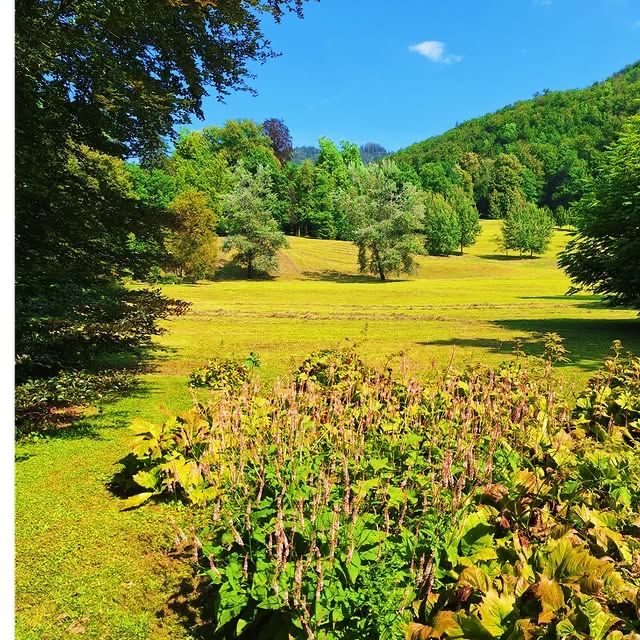 凱撒別墅——奧地利皇室的夏宮！