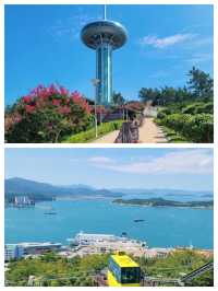 莞島郡：韓國西南海的遺世桃源，探索寧靜與美好