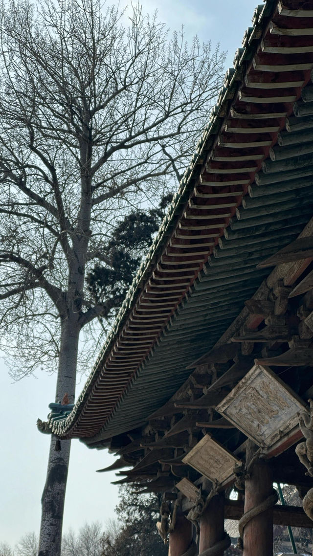 山西古人怕不是真見過龍？啊啊啊