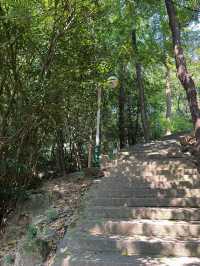 新會圭峰山｜逃離都市吸氧計劃