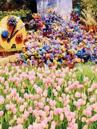Are you sure you don't want to take a look? It's so beautiful here.
