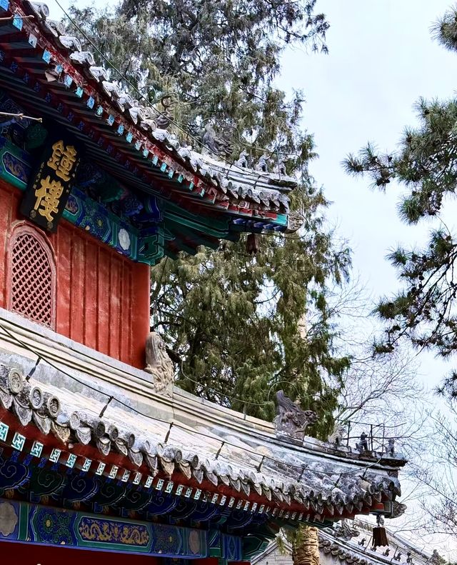 千年戒壇戒台寺，禪韻鐘聲祈安康！