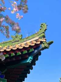 漢中市博物館的建築也值得一看