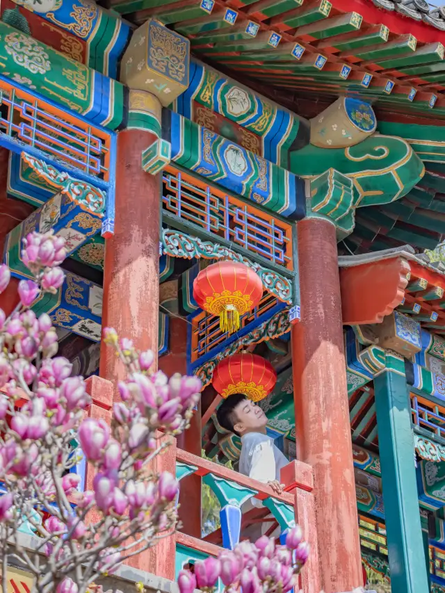 任何人錯過大觀園的玉蘭花都會傷心