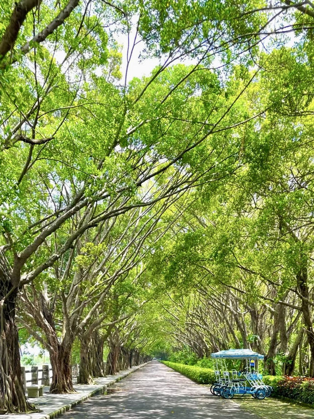 逐水尋夢：南沙濕地的自然詩意