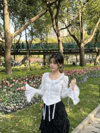 上海市區的鬱金香！徐家匯鬱金香打卡位！