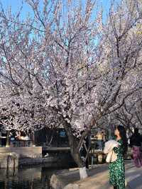 三里河公園！明年我一定會再來！