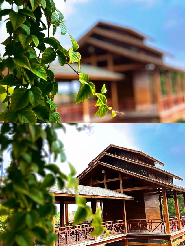 小城東南亞森系療癒之旅 | 湖泉酒店