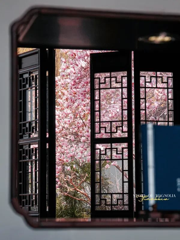 Experience the Enchanting Spring in Suzhou