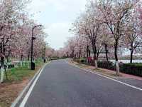 Shipai Park: Blooming as A Bomb of Colours in Dongguan