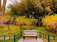 Purple Bamboo Park in Beijing: Pure Tranquility Hideout