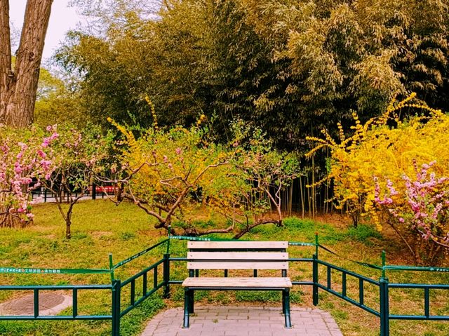 Purple Bamboo Park in Beijing: Pure Tranquility Hideout