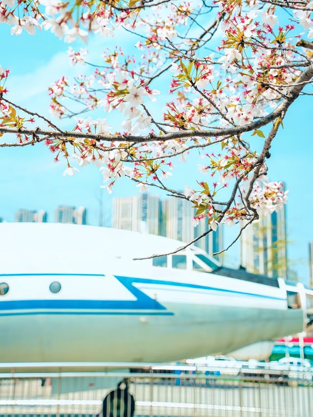 武漢三月