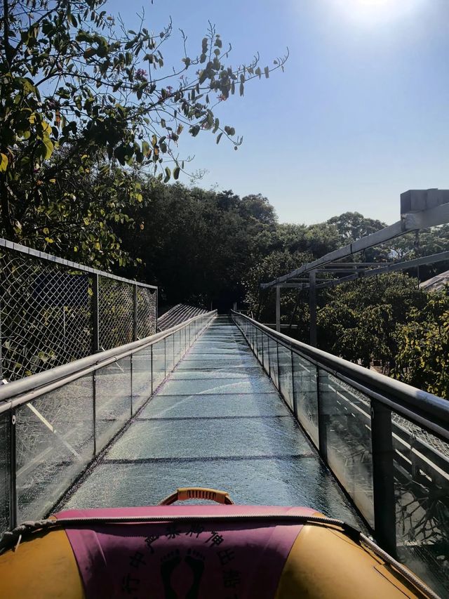森林王國
