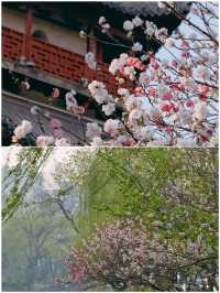剛帶小朋友從南通回來，真心不建議4月去，因為…