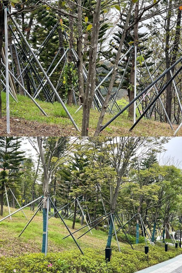 東莞松山湖悅榕莊度假村