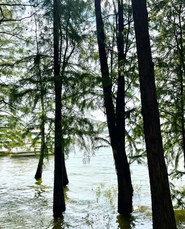 邂逅蘭湖：尋夢詩意水鄉，解鎖春日浪漫