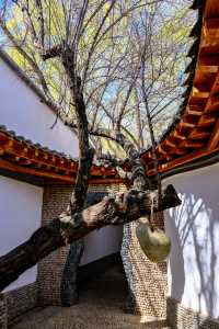 天下黃河貴德清，黃河喺呢度宛如藍色嘅綢緞