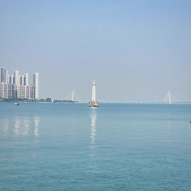 深圳太子灣濱海岸線公園！新開的！人少景美還免費～