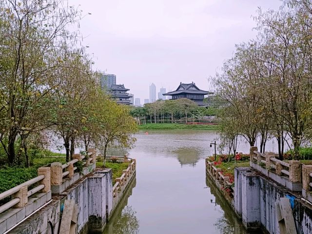Haizhu Lake Park: An Urban Oasis in Guangzhou