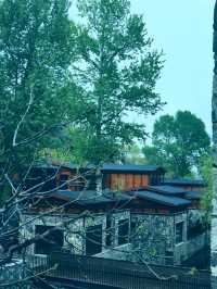 春雨洗禮，隱北•達摩民宿的綠野仙蹤