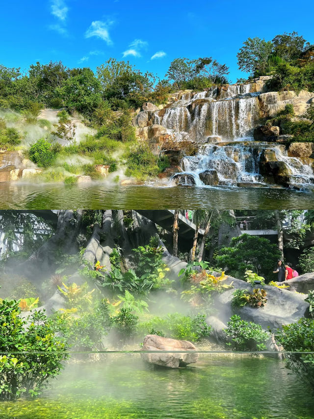上海溫室花園｜瘋狂植物城簡直超超超超級出片！！！